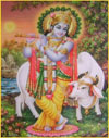 Krishna Gayatri mantra